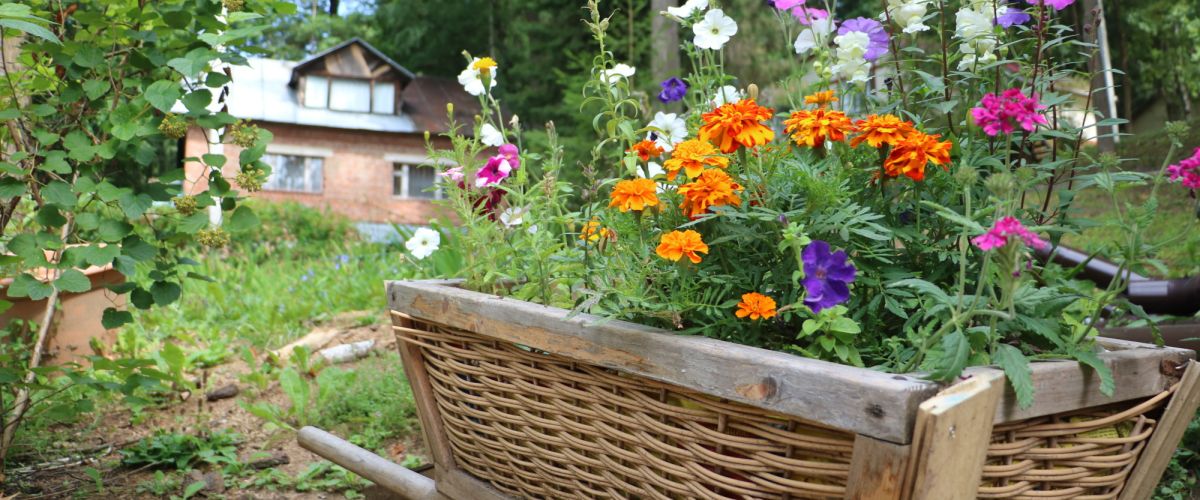 О туристической базе «Октава»